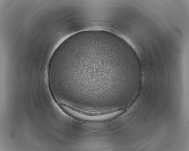 X0000112461468200908311319