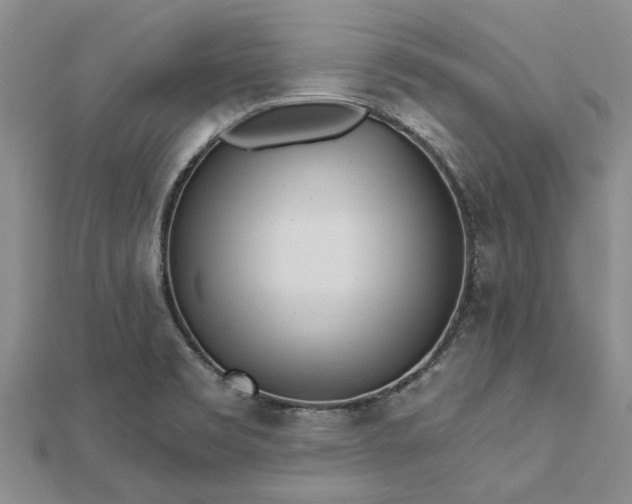 X0000112461469200908311319