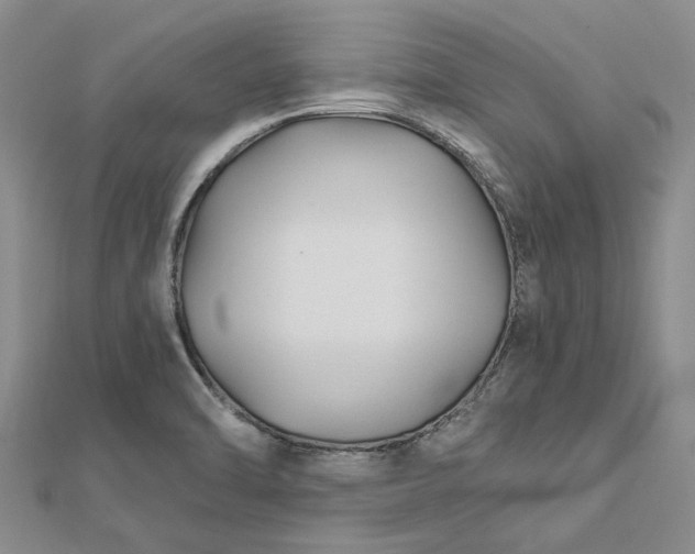 X0000112461470200908311319