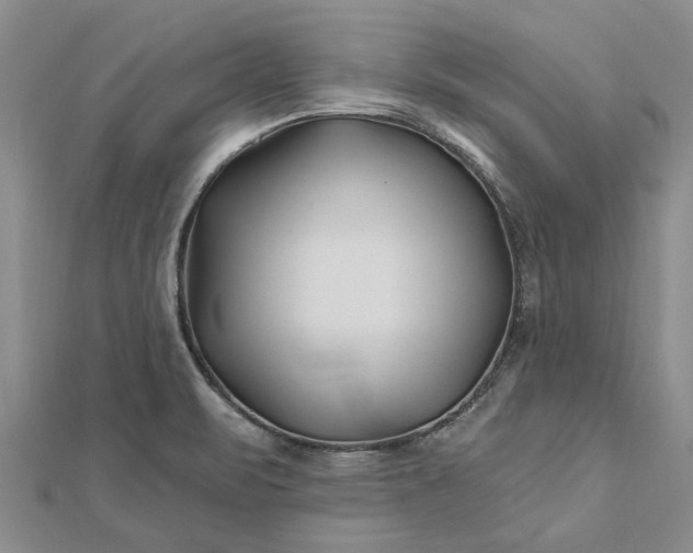 X0000112461471200908311319