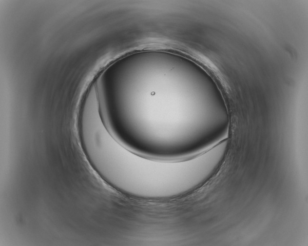 X0000112461472200908311319