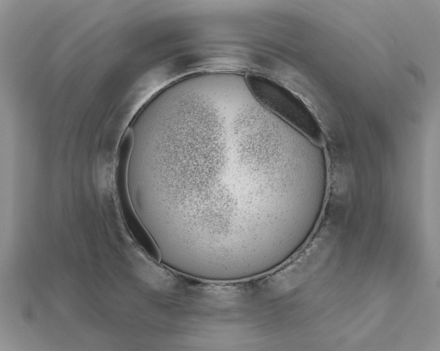 X0000112461473200908311319