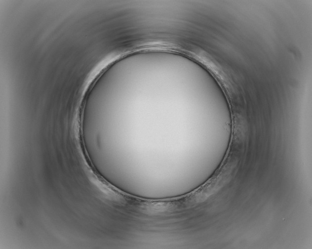 X0000112461474200908311319