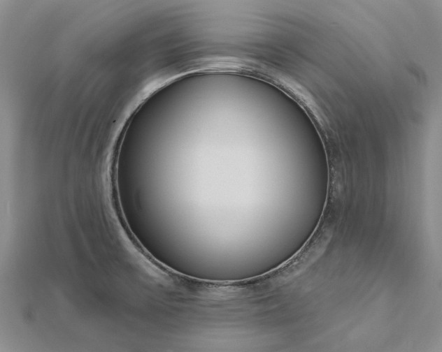 X0000112461475200908311319