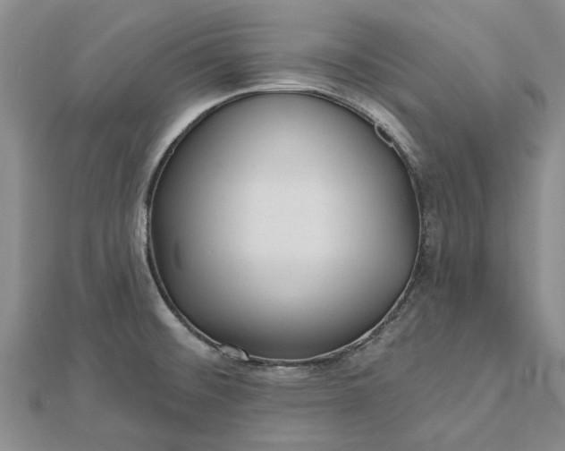 X0000112461476200908311319