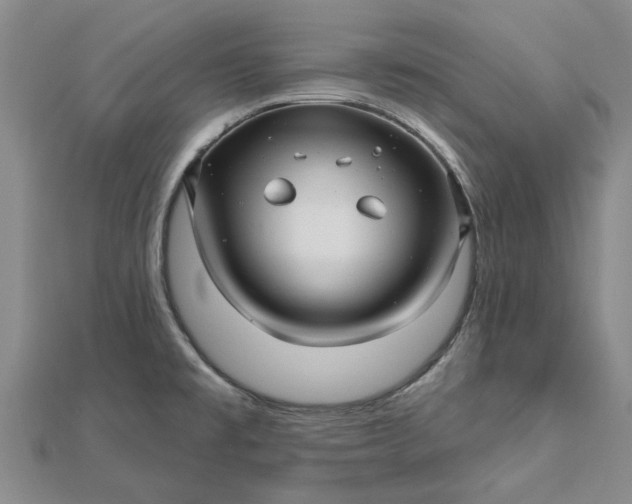 X0000112461477200908311319