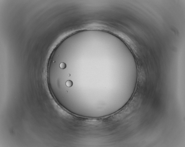 X0000112461478200908311319