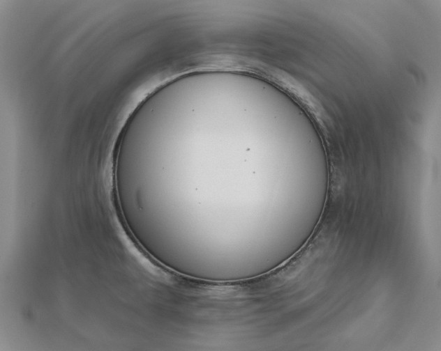 X0000112461479200908311319