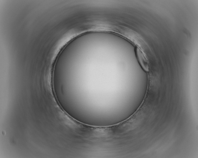 X0000112461480200908311319