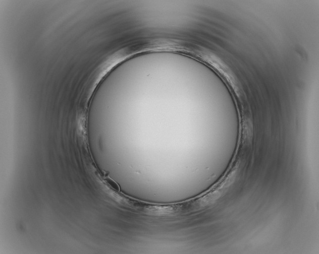 X0000112461481200908311319