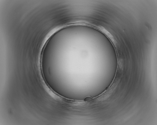 X0000112461482200908311319