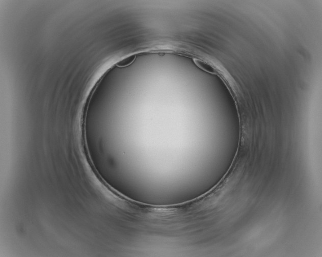 X0000112461483200908311319