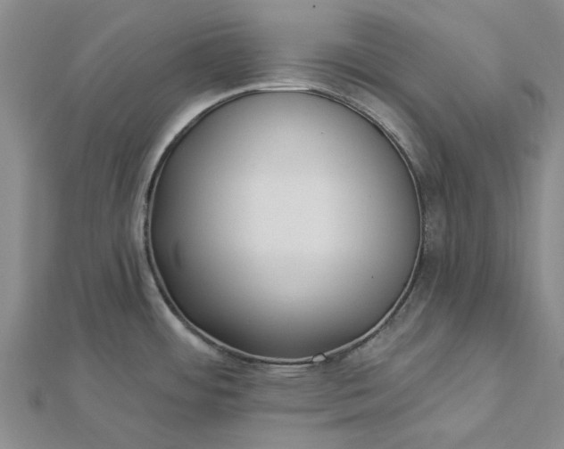 X0000112461484200908311319