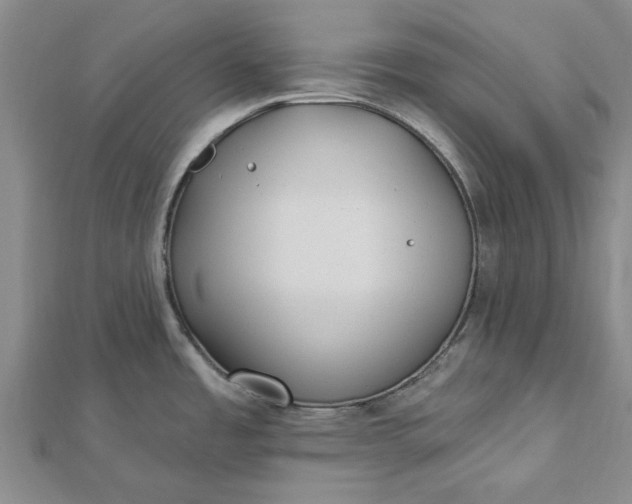 X0000112461485200908311319