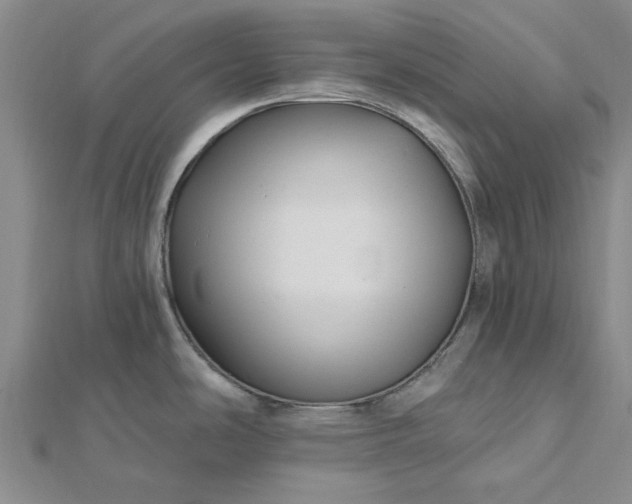 X0000112461486200908311319