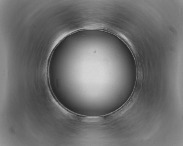 X0000112461487200908311319