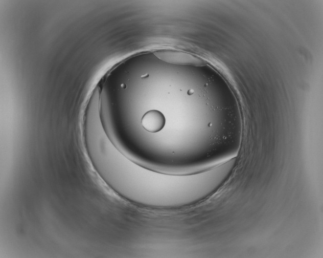 X0000112461488200908311319