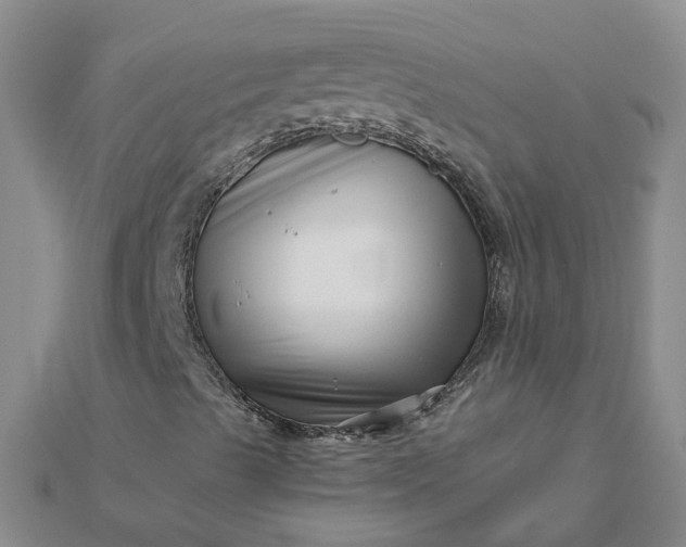 X0000112461489200908311318