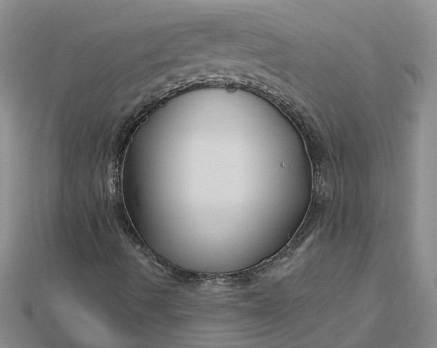 X0000112461490200908311318