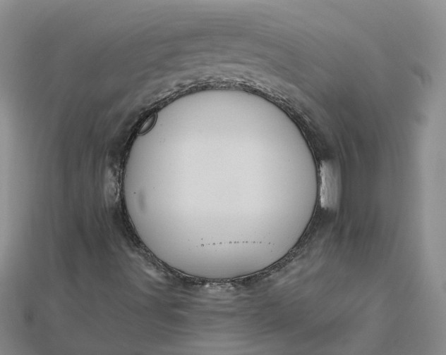 X0000112461491200908311318