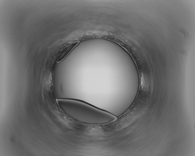 X0000112461492200908311318