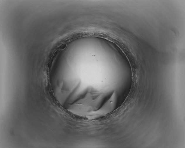 X0000112461493200908311318