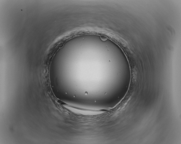 X0000112461494200908311318