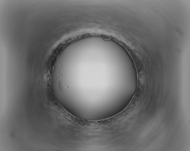 X0000112461495200908311318