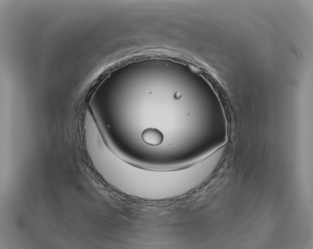 X0000112461496200908311318