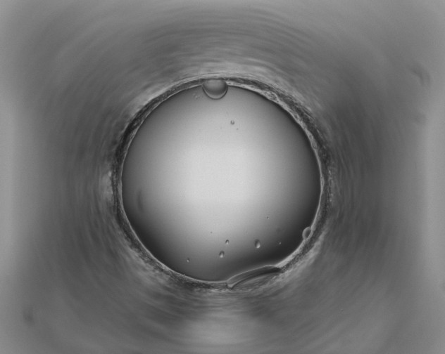 X0000112461497200908311318