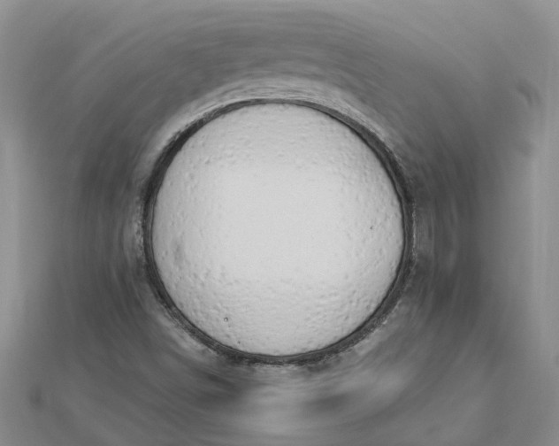 X0000112461498200908311318