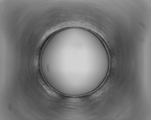 X0000112461499200908311318