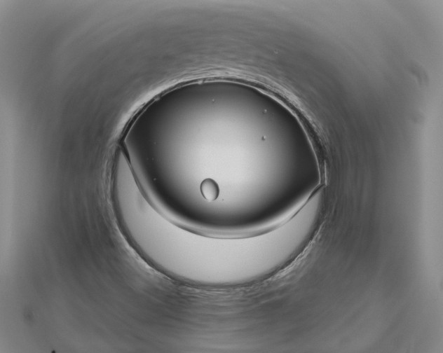 X0000112461500200908311318