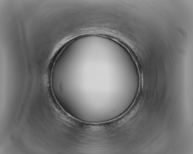 X0000112461501200908311318