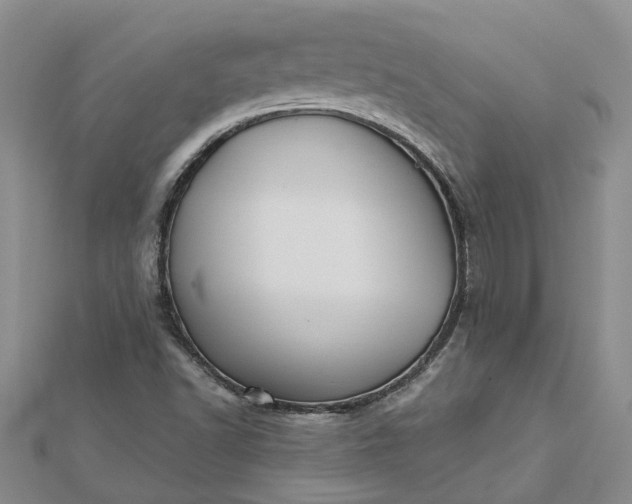 X0000112461502200908311318