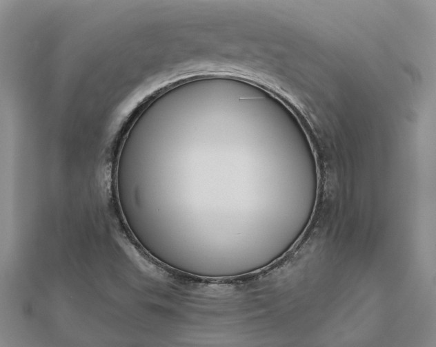 X0000112461503200908311318