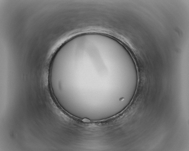 X0000112461504200908311318