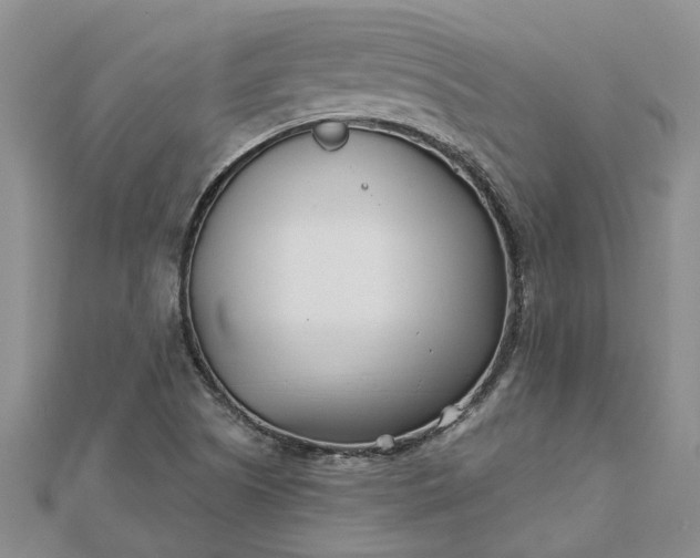 X0000112461505200908311318