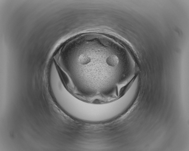 X0000112461506200908311318