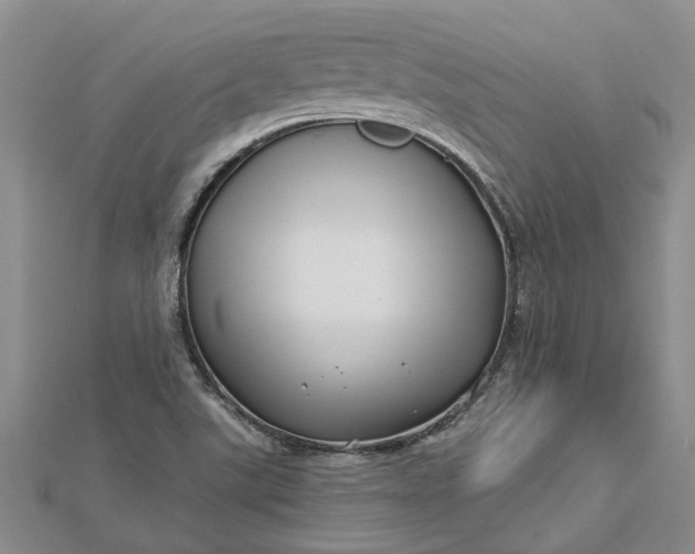 X0000112461507200908311318