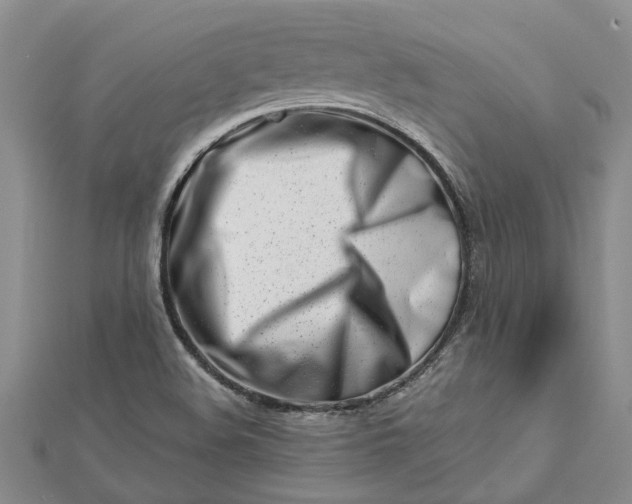 X0000112461508200908311318