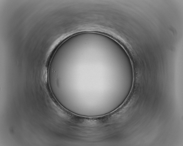 X0000112461509200908311318