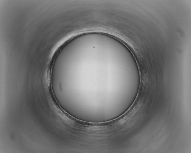 X0000112461510200908311318