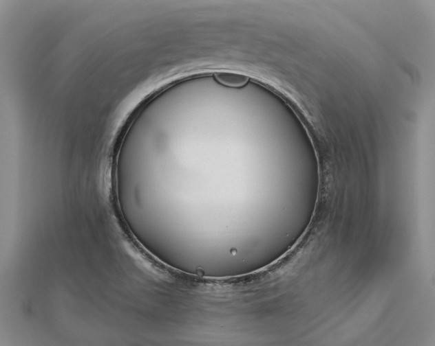 X0000112461511200908311318