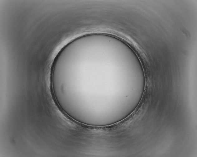 X0000112461512200908311318