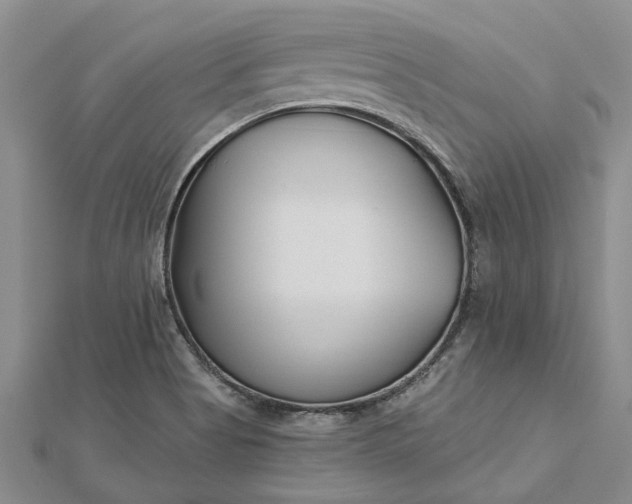 X0000112461513200908311318