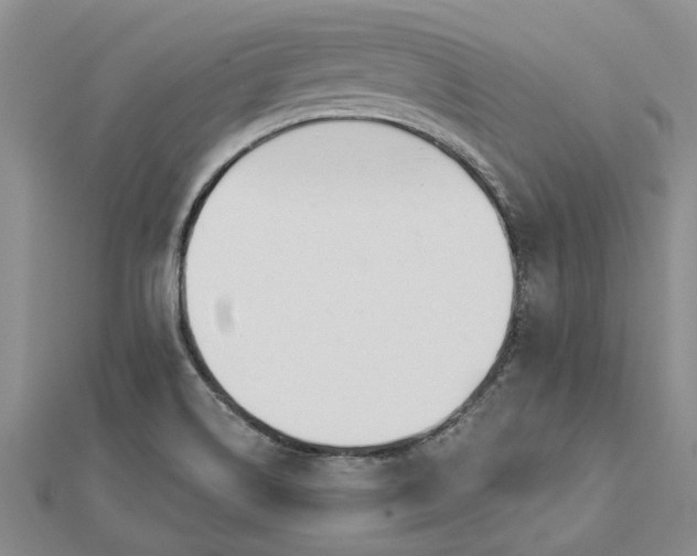 X0000112461514200908311318