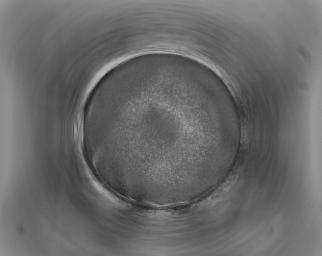 X0000112461515200908311318