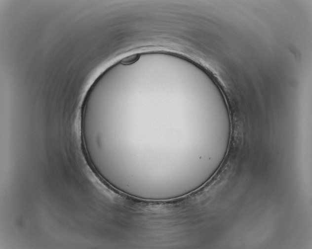 X0000112461516200908311318