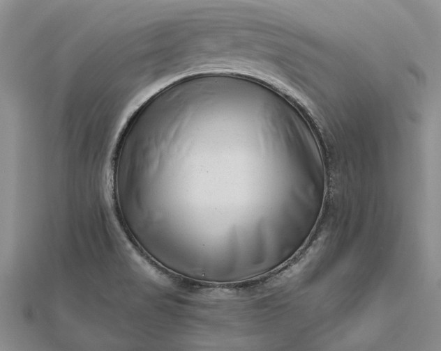 X0000112461517200908311318